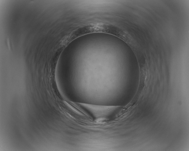 X0000053150223200507251850