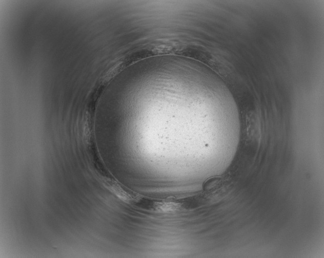 X0000053150226200507251850
