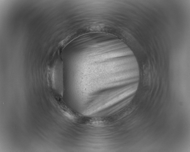 X0000053150228200507251850