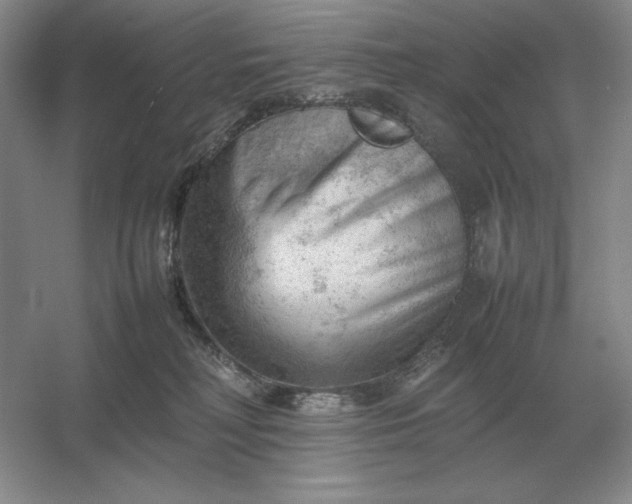 X0000053150230200507251850