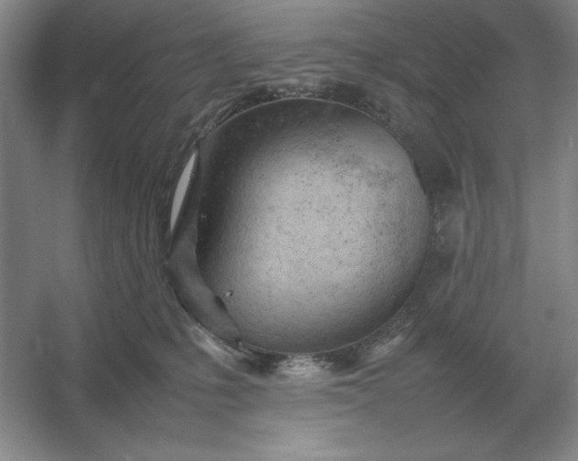X0000053150231200507251850