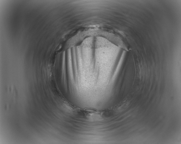 X0000053150232200507251850
