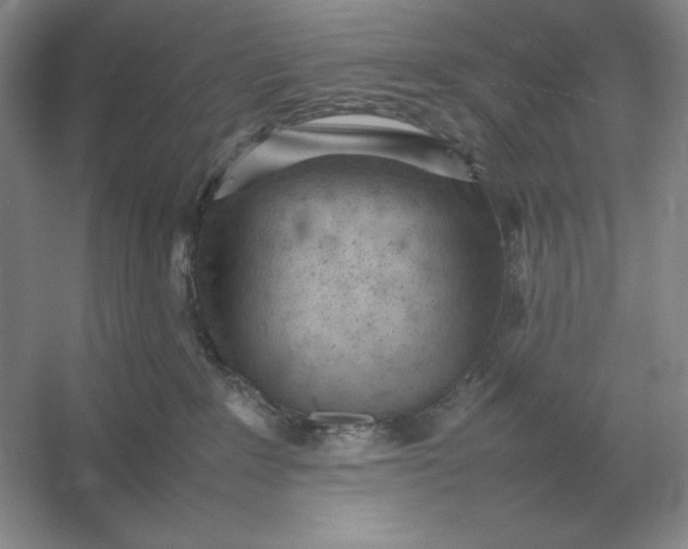 X0000053150235200507251850