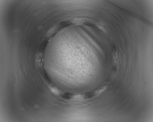 X0000053150237200507251850