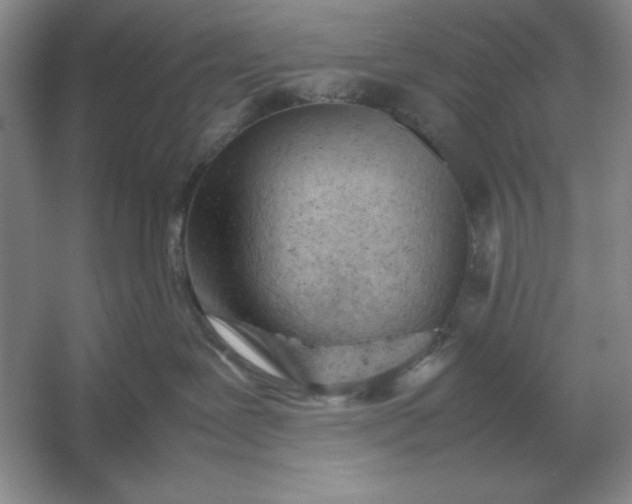 X0000053150239200507251850