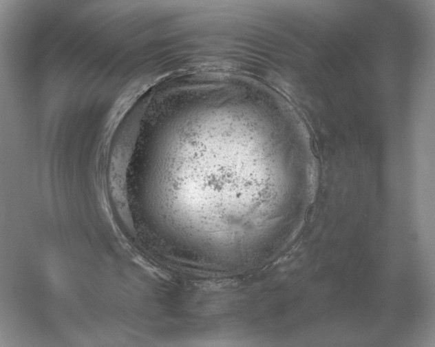 X0000053150241200507251849