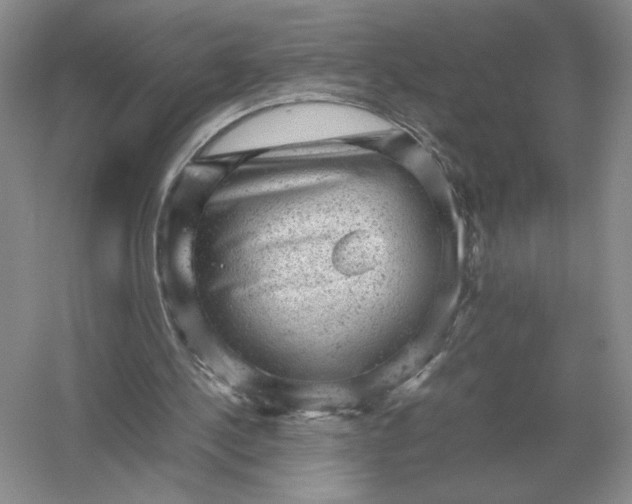 X0000053150244200507251849