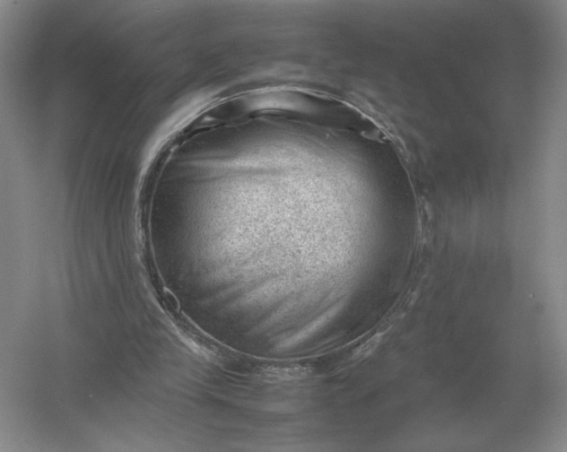X0000053150245200507251849