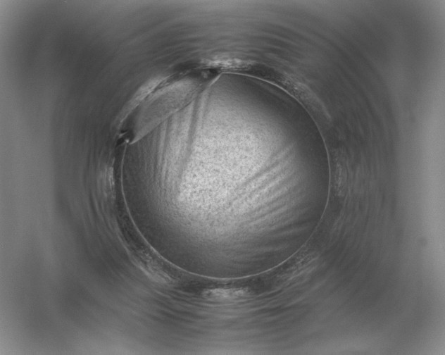 X0000053150251200507251849