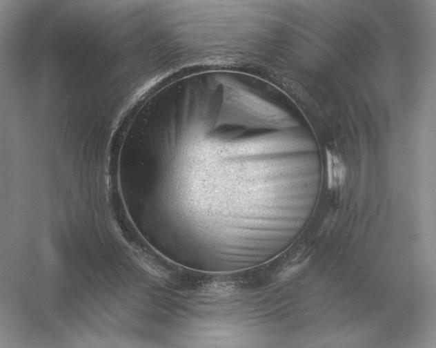 X0000053150252200507251849