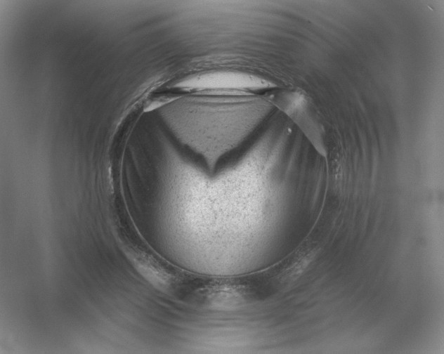 X0000053150254200507251849