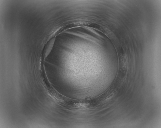 X0000053150255200507251849