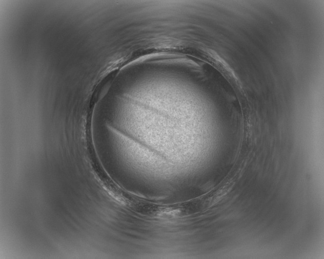 X0000053150257200507251849