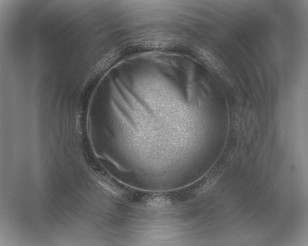 X0000053150258200507251849