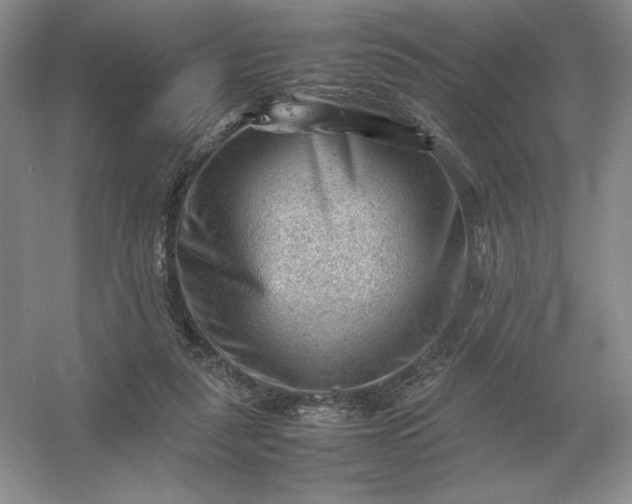 X0000053150259200507251849