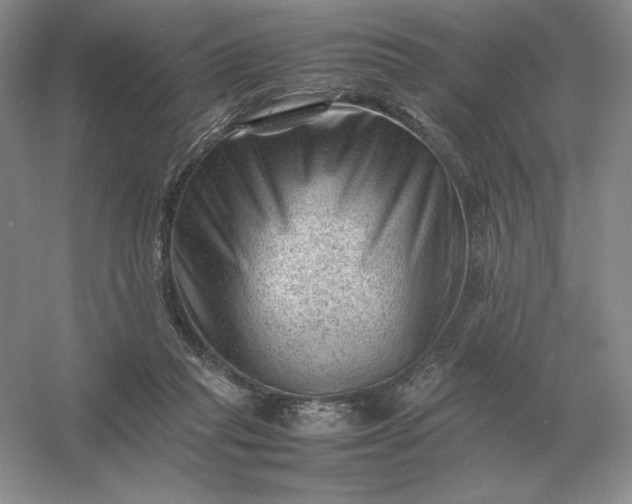 X0000053150261200507251849