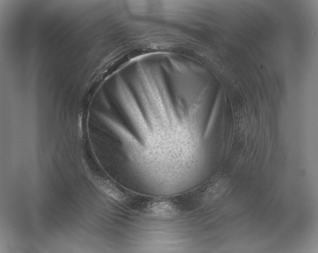 X0000053150262200507251849
