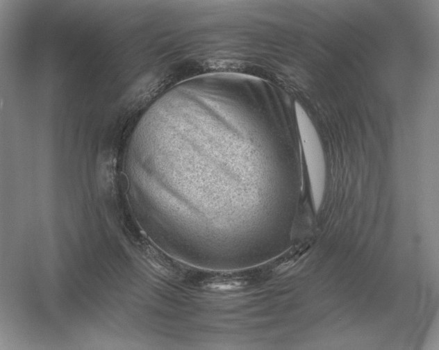 X0000053150263200507251849