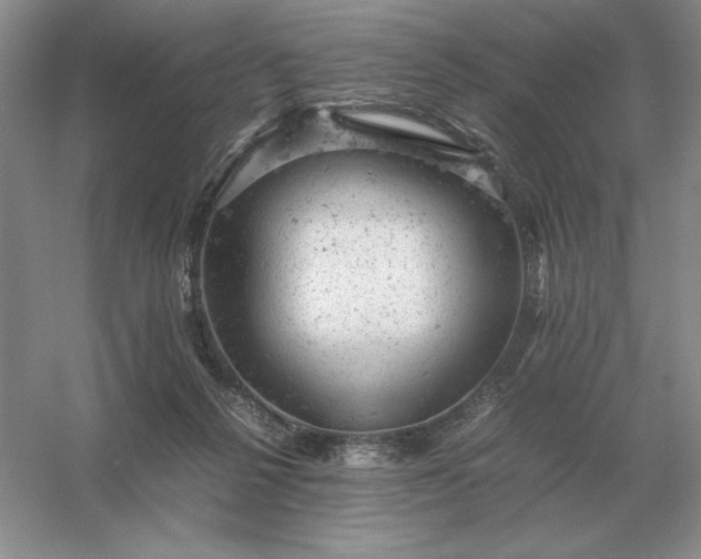 X0000053150264200507251849