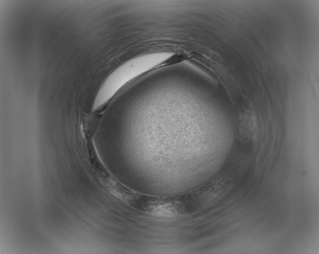 X0000053150267200507251849
