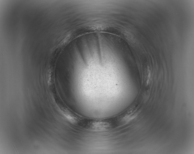 X0000053150268200507251849