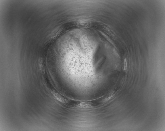 X0000053150270200507251849
