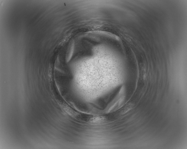 X0000053150274200507251849