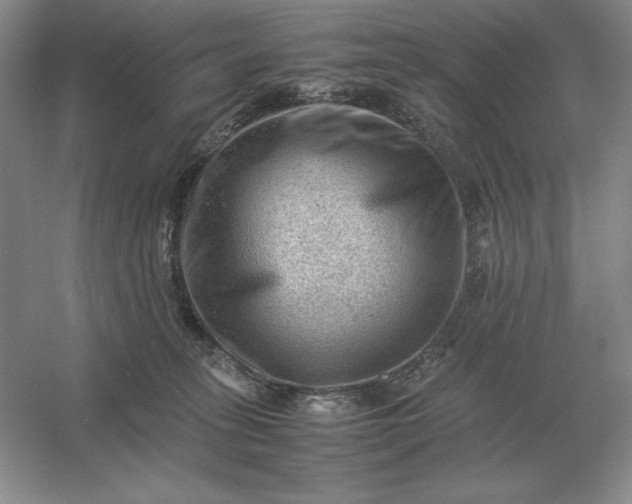 X0000053150275200507251849