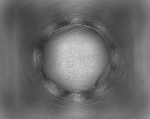 X0000053150276200507251849