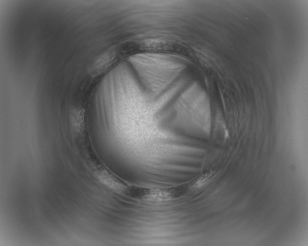 X0000053150278200507251849