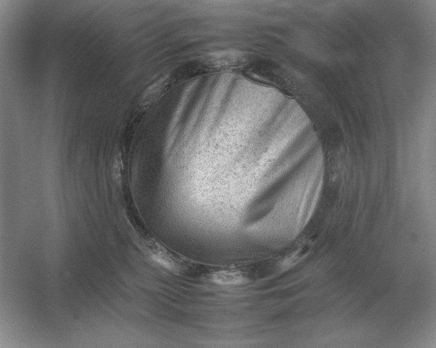 X0000053150279200507251849