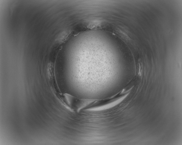 X0000053150280200507251849