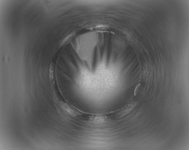 X0000053150282200507251849