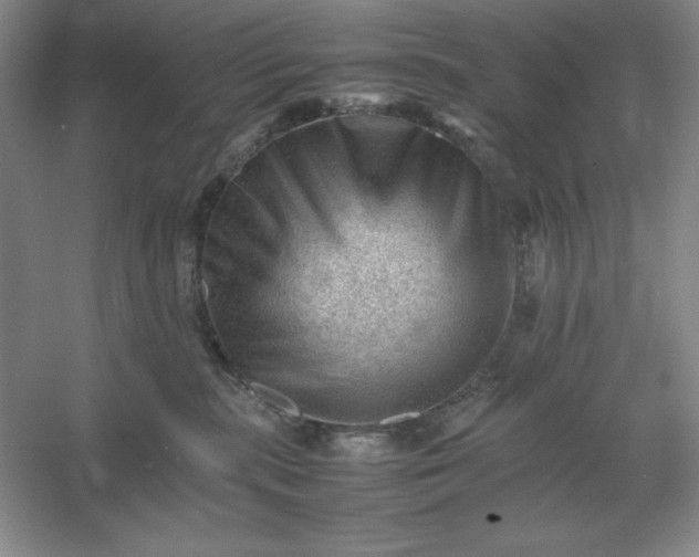 X0000053150283200507251849