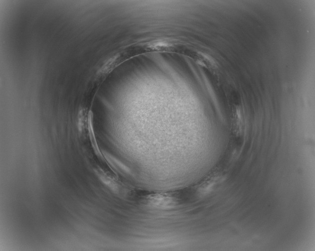 X0000053150284200507251850