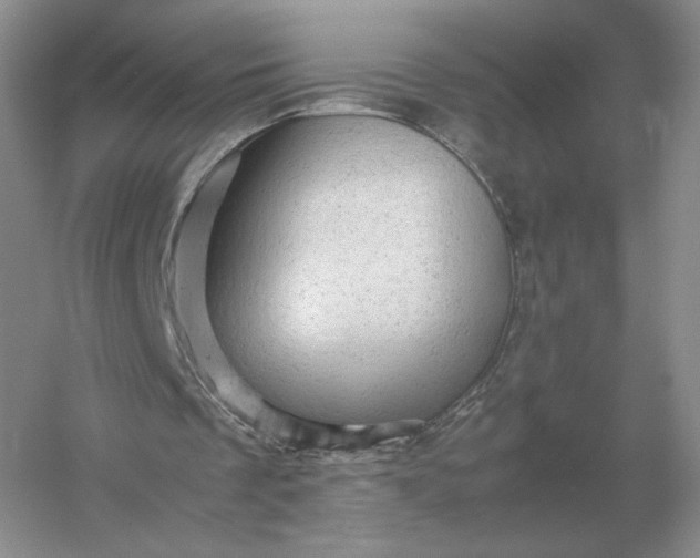 X0000053150289200507251849