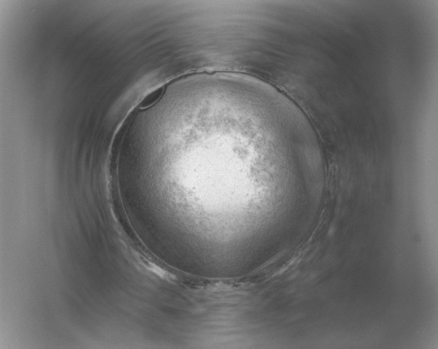 X0000053150290200507251849