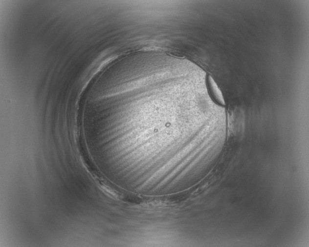 X0000053150291200507251849