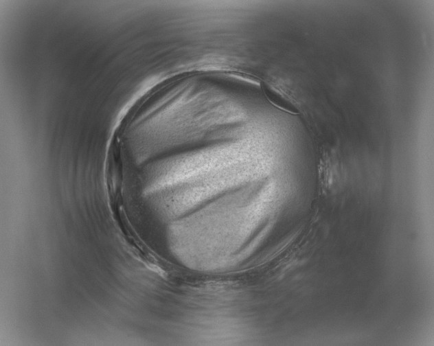 X0000053150292200507251849