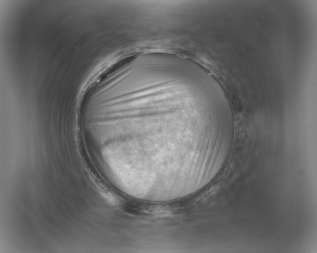 X0000053150293200507251849