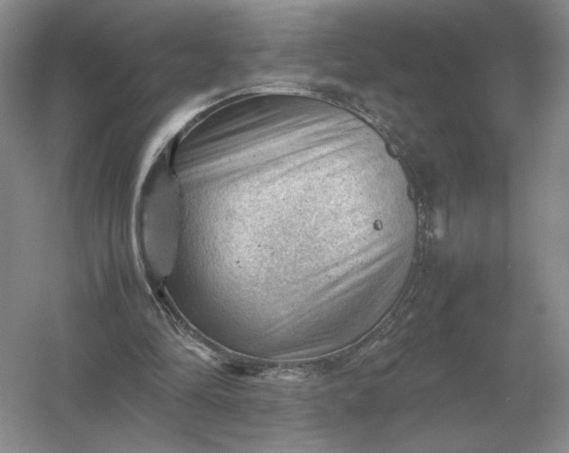 X0000053150294200507251849