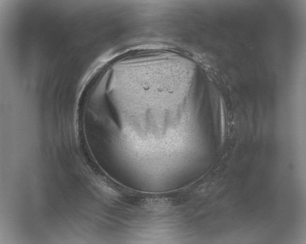 X0000053150296200507251849