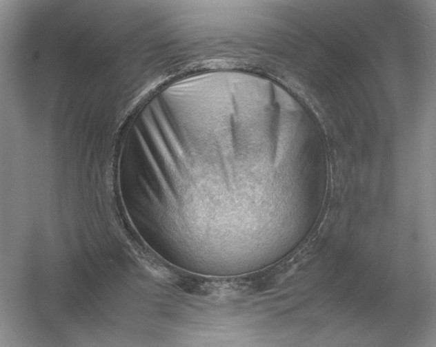 X0000053150297200507251849