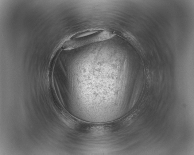 X0000053150298200507251849