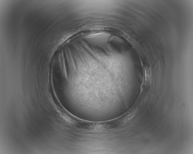 X0000053150301200507251849