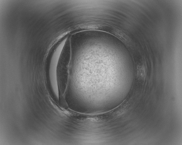 X0000053150302200507251849