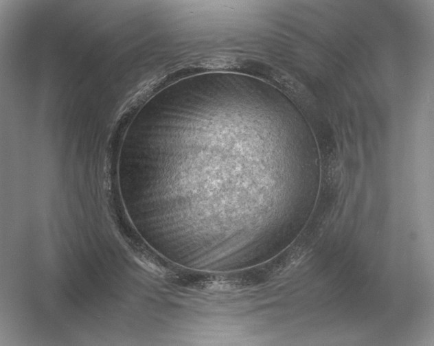 X0000053150303200507251849