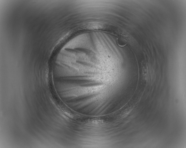 X0000053150304200507251849