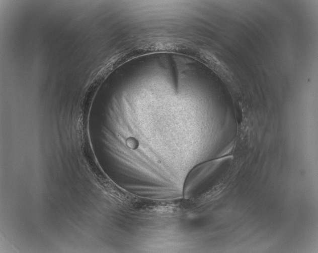 X0000053150306200507251848