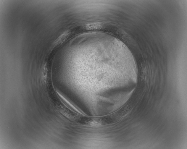 X0000053150308200507251848